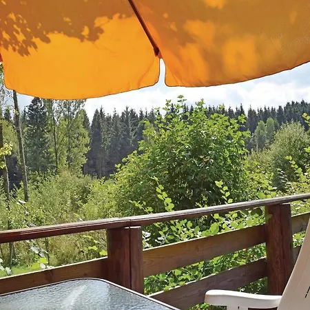 Haus Balmes U Holiday home Hermeskeil